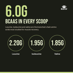 Formula: BEASTOX Pure Whey Isolate 6.0 g BCAA breakdown per 33 g serving